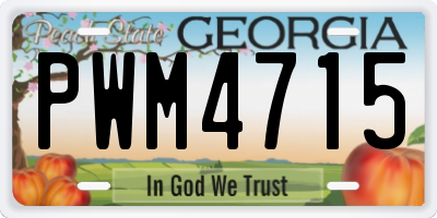 GA license plate PWM4715