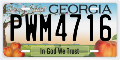 GA license plate PWM4716