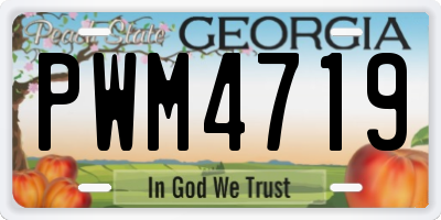 GA license plate PWM4719