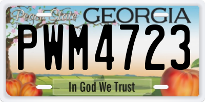 GA license plate PWM4723