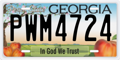 GA license plate PWM4724