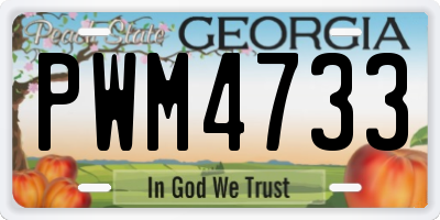 GA license plate PWM4733