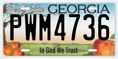 GA license plate PWM4736