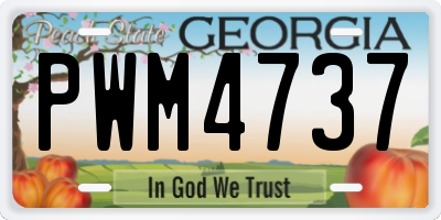 GA license plate PWM4737