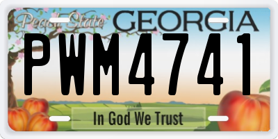 GA license plate PWM4741