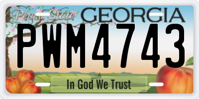GA license plate PWM4743