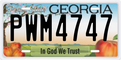 GA license plate PWM4747
