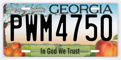 GA license plate PWM4750
