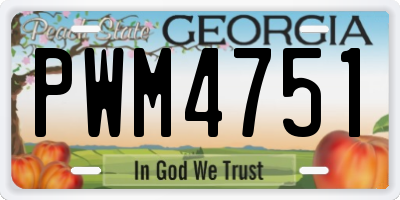 GA license plate PWM4751