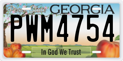 GA license plate PWM4754