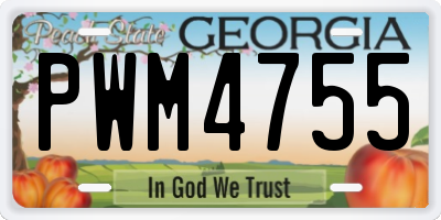 GA license plate PWM4755