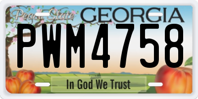 GA license plate PWM4758