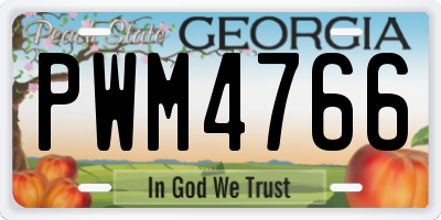 GA license plate PWM4766