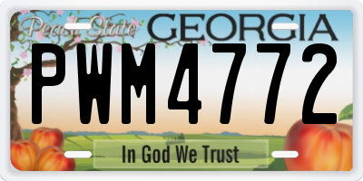 GA license plate PWM4772