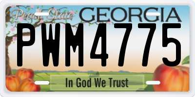 GA license plate PWM4775