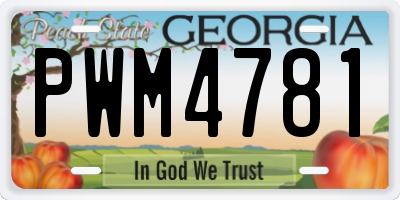 GA license plate PWM4781