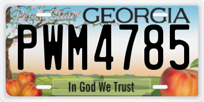 GA license plate PWM4785