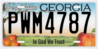 GA license plate PWM4787