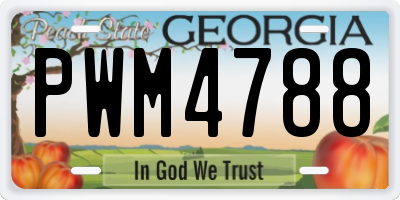 GA license plate PWM4788