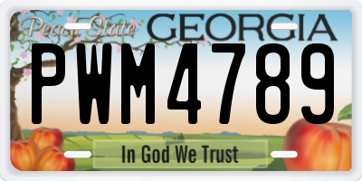 GA license plate PWM4789