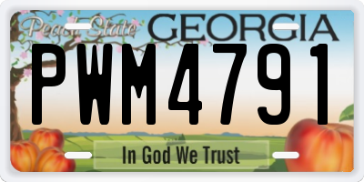 GA license plate PWM4791