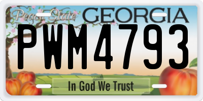 GA license plate PWM4793