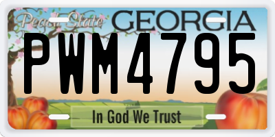 GA license plate PWM4795