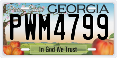 GA license plate PWM4799