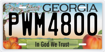 GA license plate PWM4800