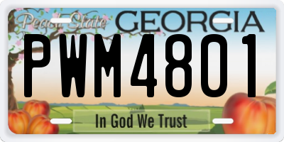 GA license plate PWM4801