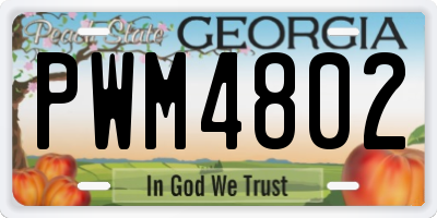 GA license plate PWM4802