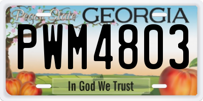 GA license plate PWM4803