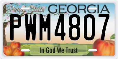 GA license plate PWM4807