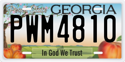 GA license plate PWM4810