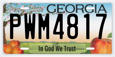 GA license plate PWM4817