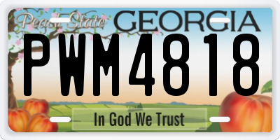 GA license plate PWM4818