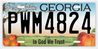 GA license plate PWM4824