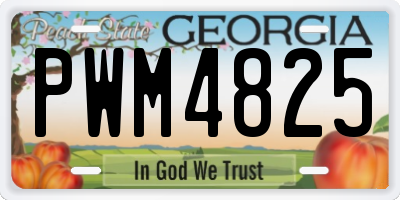 GA license plate PWM4825