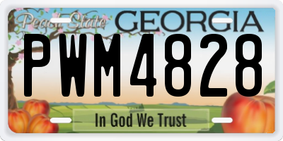GA license plate PWM4828