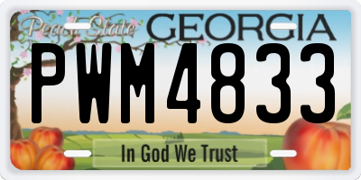GA license plate PWM4833