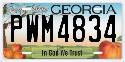 GA license plate PWM4834
