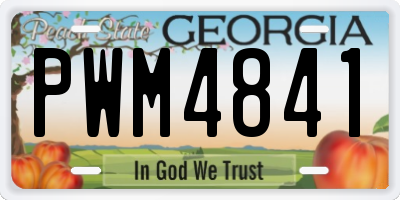GA license plate PWM4841