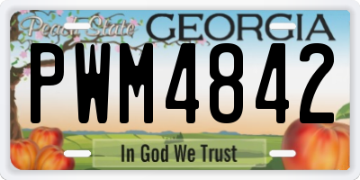 GA license plate PWM4842