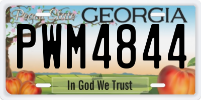 GA license plate PWM4844