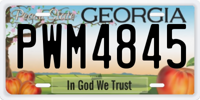 GA license plate PWM4845