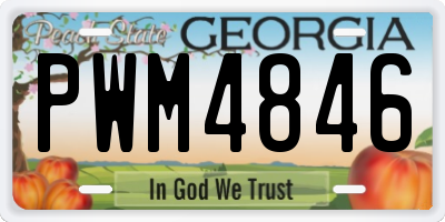 GA license plate PWM4846