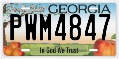 GA license plate PWM4847