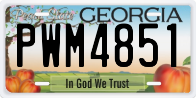 GA license plate PWM4851