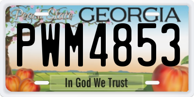 GA license plate PWM4853