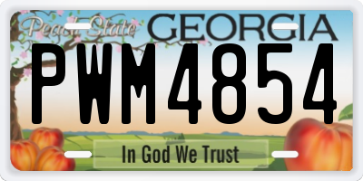GA license plate PWM4854